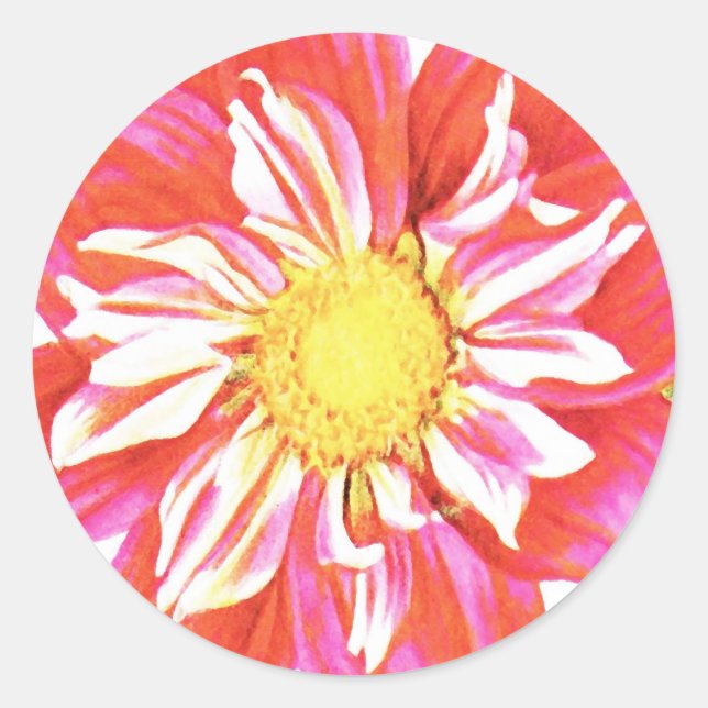 Coral red and white striped dahlia print classic round sticker (Front)