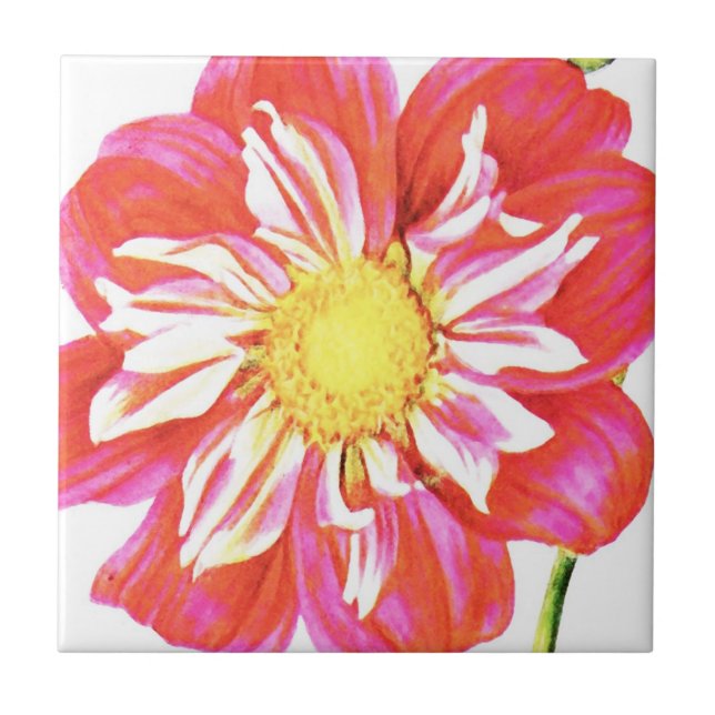 Coral red and white striped dahlia print tile (Front)