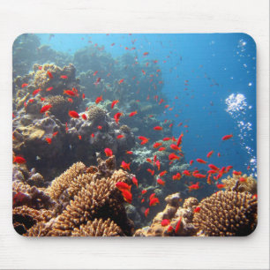 Coral Reef 01 Mouse Pad