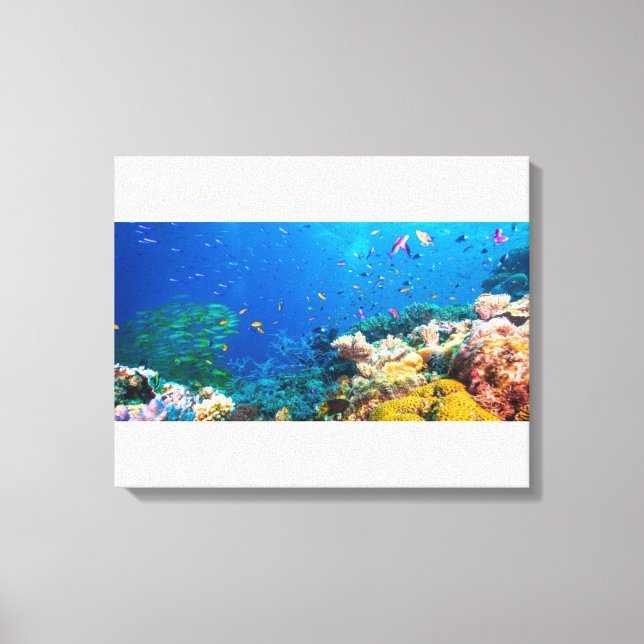 Coral Reef And Tropical Fish Canvas Print (Front)