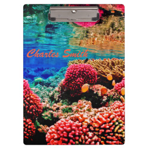 Coral reef colourful ocean underwater clipboard
