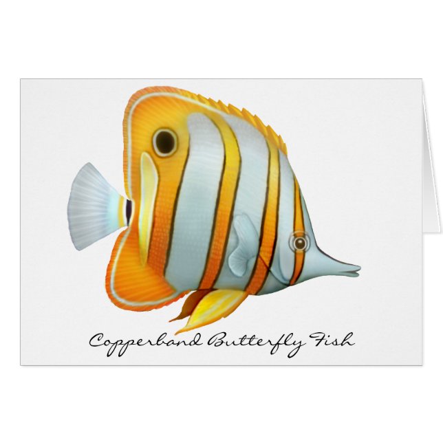 Coral Reef Copperband Butterfly Fish Card (Front Horizontal)