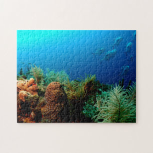 Coral Reef, Dry Tortugas National Park, Florida Jigsaw Puzzle