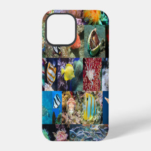 Coral Reef Fish Animals, Photo Collage for Pros iPhone 12 Pro Case