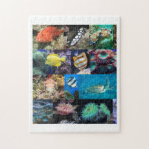 Coral Reef Fish Animals Photos, Age 8, 252 Pieces