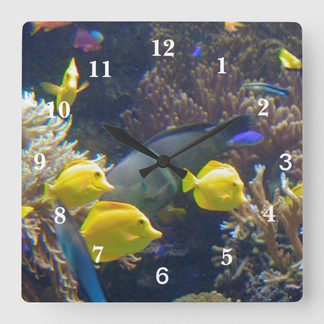 Coral Reef Fish Square Wall Clock (Front)