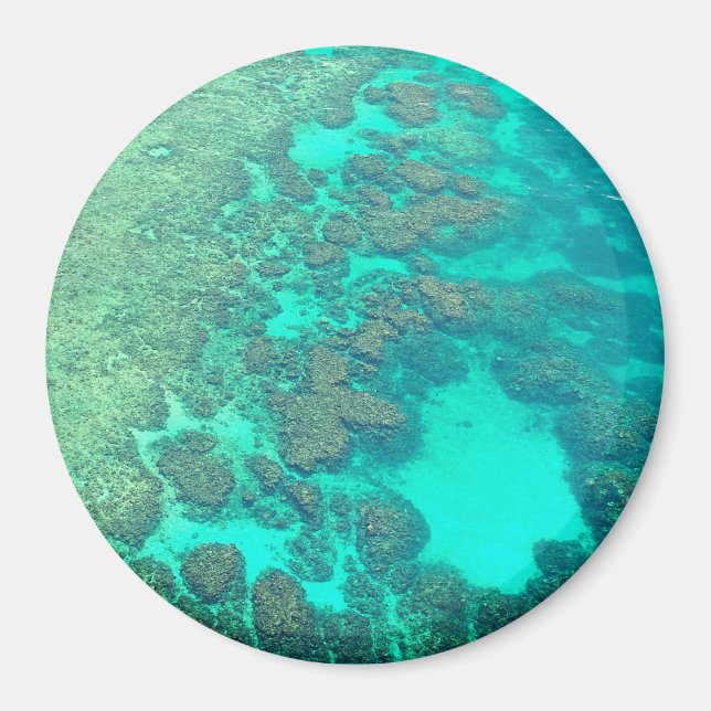 Coral reef magnet (Front)