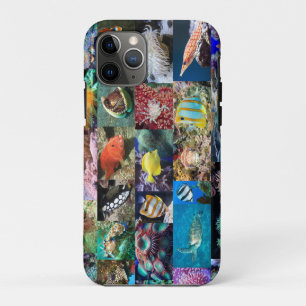 Coral Reef Marine Fish Animals Educational Collage Case-Mate iPhone Case
