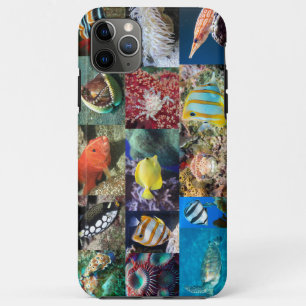 Coral Reef Marine Fish Animals Photos, Educational Case-Mate iPhone Case