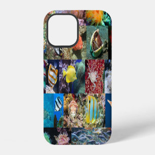 Coral Reef Marine Life, Photo Collage 4 Scientists iPhone 12 Case