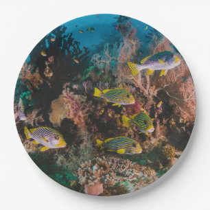 Coral Reef paper plates