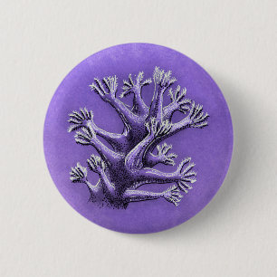 Coral Reef Purple Marine Biology Art 6 Cm Round Badge
