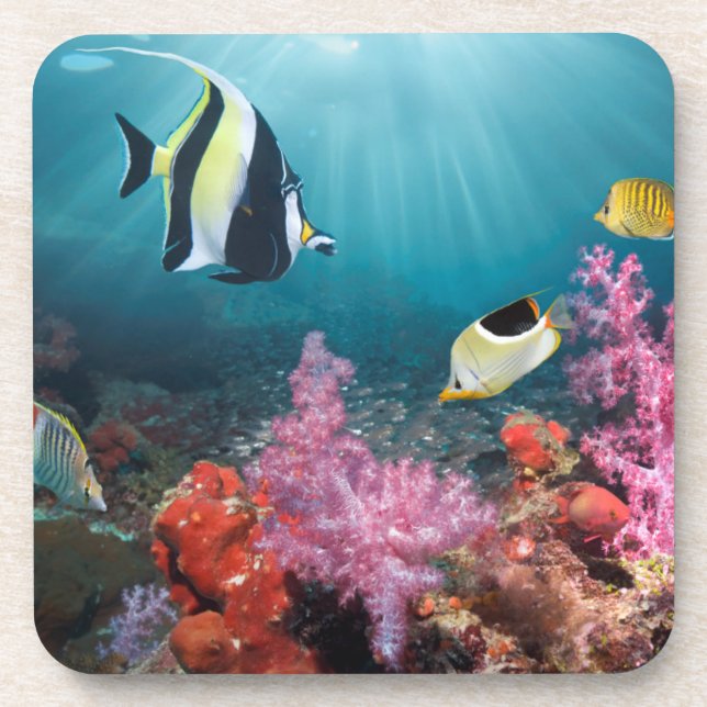 Coral Reef Scenery | Moorish Idol Coaster (Front)