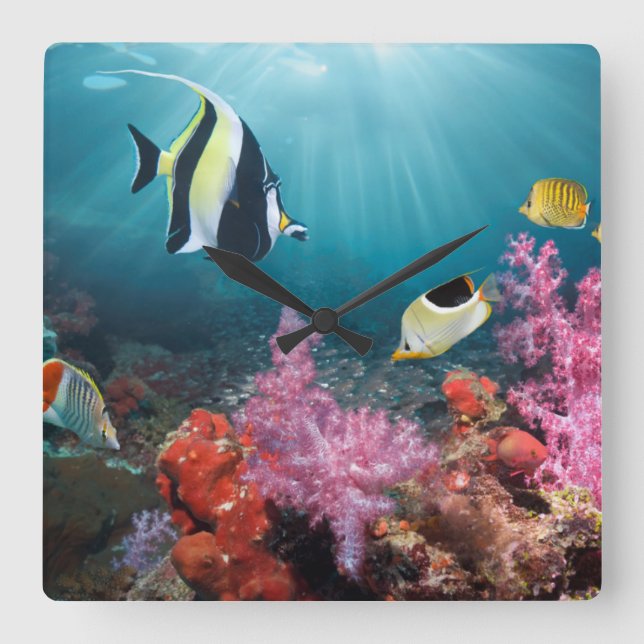Coral Reef Scenery | Moorish Idol Square Wall Clock (Front)