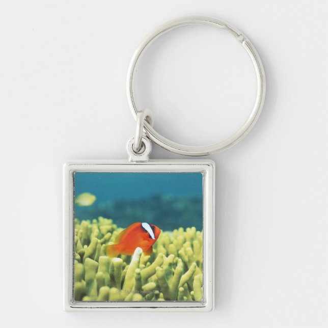 Coral reef teeming with tropical fish key ring (Front)