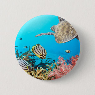 Coral Reef Turtle Naturescape 6 Cm Round Badge