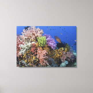 Coral reef, uderwater view canvas print