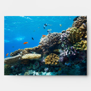 Coral reef underwater envelope