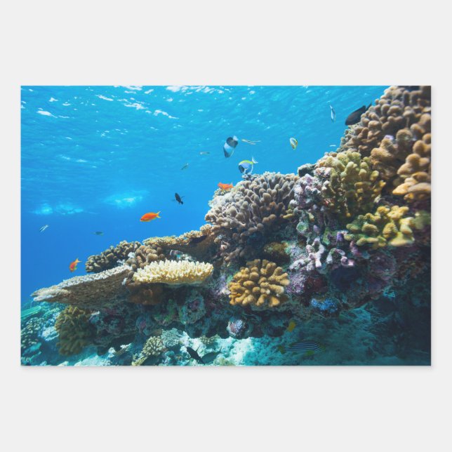Coral reef underwater wrapping paper sheet (Front)