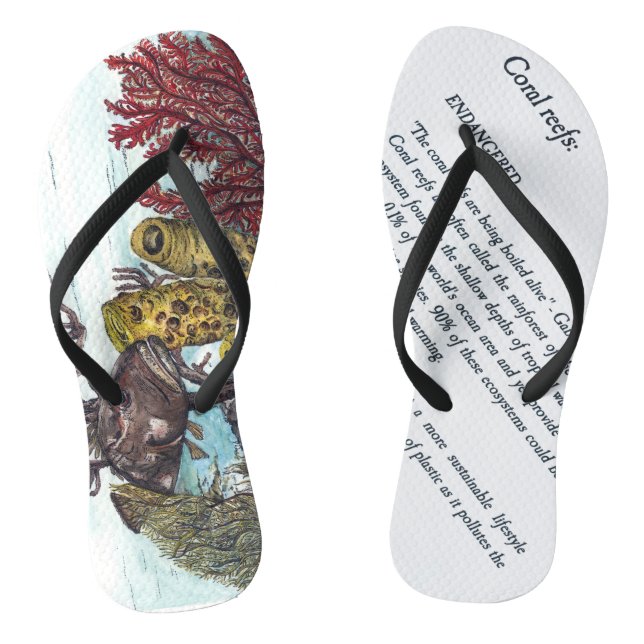 Coral Reef Watercolours Endangered Message Jandals (Footbed)