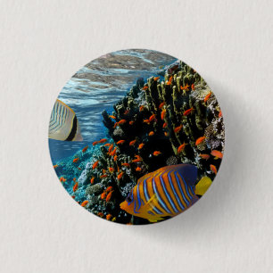 Coral Reef with Fire Coral and Exotic Fishes 3 Cm Round Badge