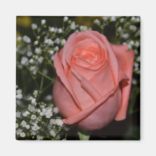 Coral Rose-005 Magnet