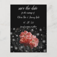 Coral Rose and Black