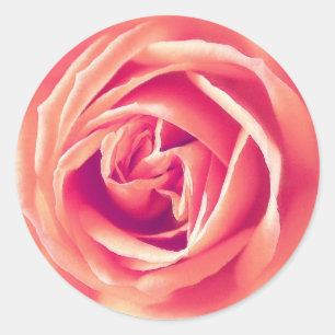 Coral rose print classic round sticker
