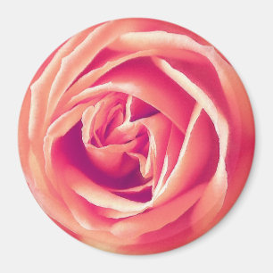 Coral rose print magnet