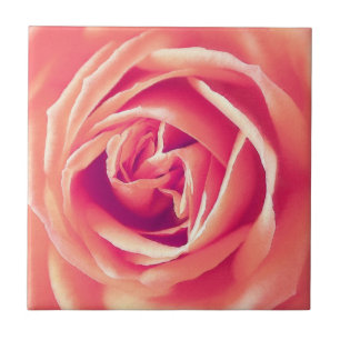 Coral rose print tile