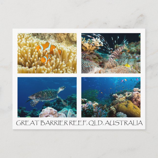 Coral Sea Postcard (Front)
