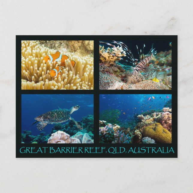 Coral Sea Postcard (Front)