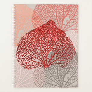 Coral Shadow Planner