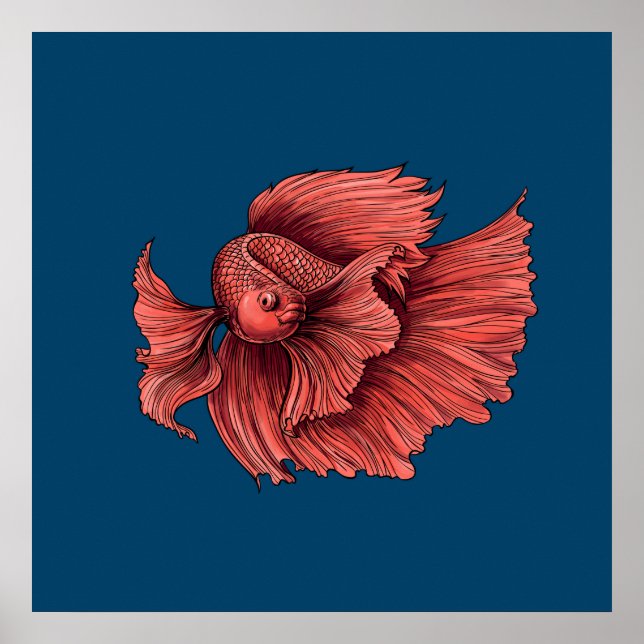 Coral Siamese fighting fish Poster (Front)