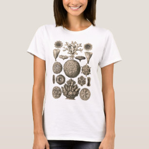 Coral T-Shirt
