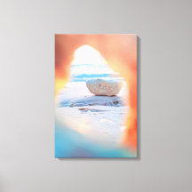 Coral View Beach Canvas Print