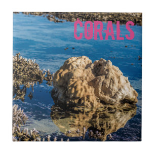 Corals reef at low tide le morne mauritius gift tile