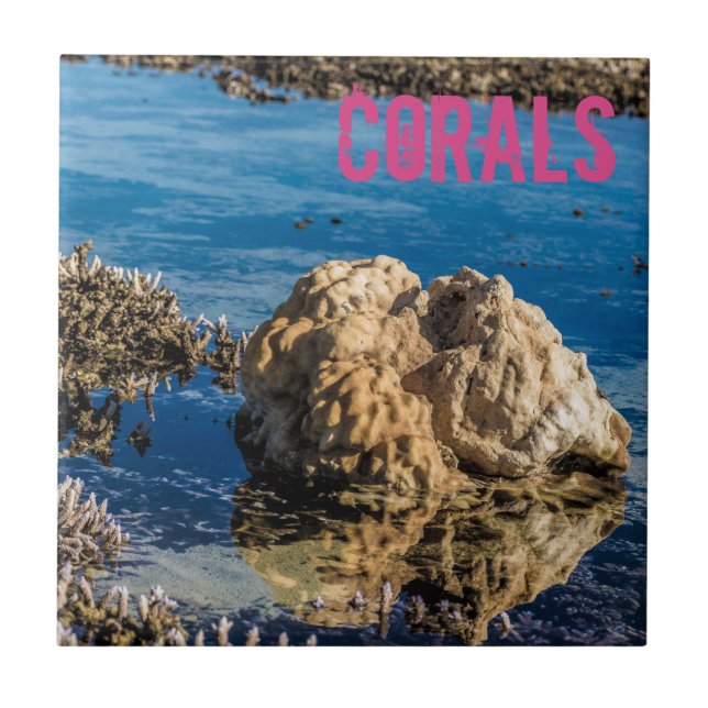 Corals reef at low tide le morne mauritius gift tile (Front)