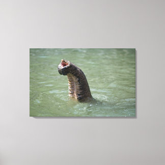Corbett National Park, Uttaranchal, India Canvas Print