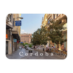 Cordoba. #20.   magnet