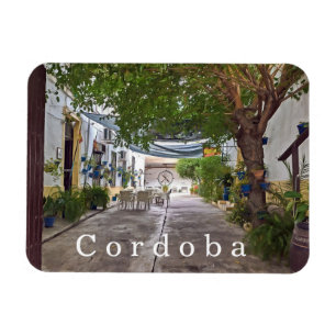 Cordoba. #30. magnet
