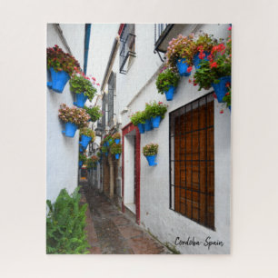 Cordoba Alleyway- The Real Spain Jigsaw Puzzle