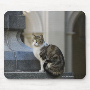 cordoba, argentina mouse pad
