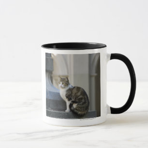 cordoba, argentina mug