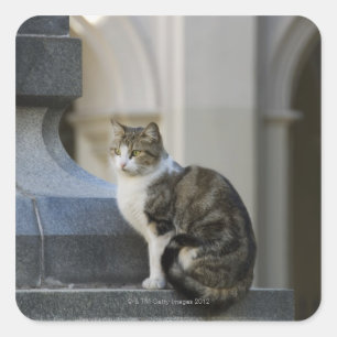 cordoba, argentina square sticker