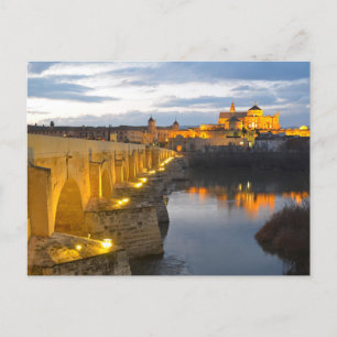 Cordoba Bridge Postcard