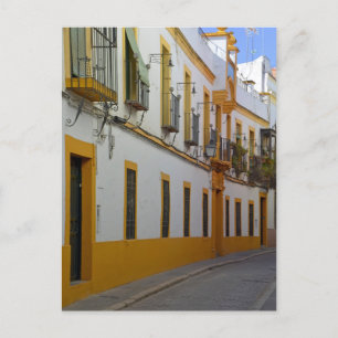 Cordoba Street Postcard