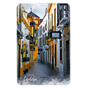 Cordoba Street -Spain Postcard Magnet