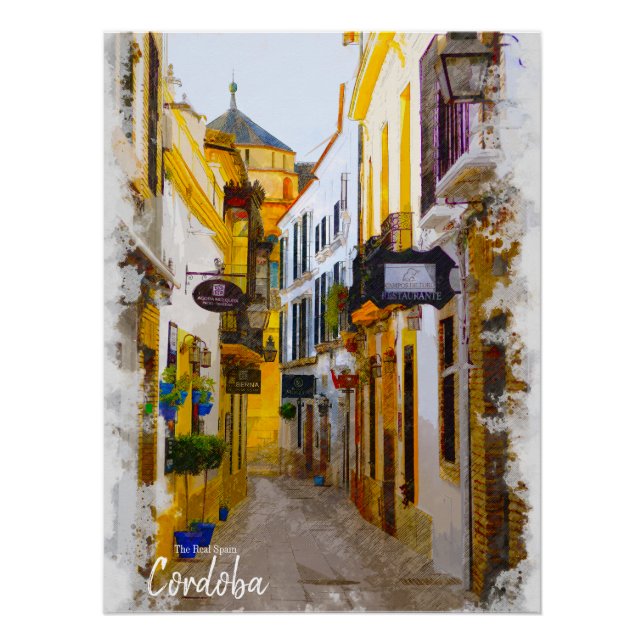 Cordoba Street -Spain Postcard Poster (Front)