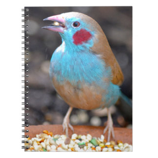 Cordon Bleu Finch Spiral Notebook